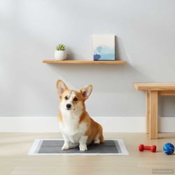 Háziállat képző párna egyszínű 100 pcs 90 x 60 cm