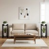 Növényállvány 2 pcs fekete tölgy 30 x 30 x 80 cm mérnöki fa