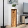 Növényállvány 2 pcs antik fa ø40 x 100 cm szerelt fa