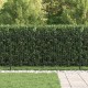 Tüske íves kerítés fekete 200 x 150 cm porszórt acél