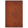 Kerti cserép rozsdás 50 x 20 x 75 cm időjárásálló acél