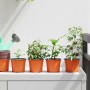 Kerek virágcserép 100 pcs terrakotta ø 10 x 8 cm műanyag