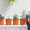 Virág cserép 50 pcs terrakotta ø 15 x 13 cm műanyag