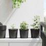 Virág cserép 50 pcs fekete ø 15 x 13 cm műanyag