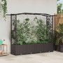 Magasított ágy trellis-szel és tetővel barna 204 x 40 x 141 cm