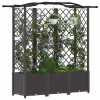 Magasított ágy trellis-szel és tetővel barna 163 x 40 x 141 cm