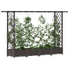 Magasított ágy trellis-szel és tetővel barna 203 x 40 x 123 cm