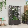 Magasított ágy trellis-szel és tetővel barna 124 x 40 x 138 cm