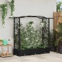 Magasított ágy trellis-szel és tetővel fekete 169 x 40 x 125 cm