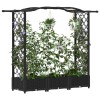 Magasított ágy trellis-szel és tetővel fekete 169 x 40 x 125 cm