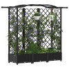Magasított ágy trellis-szel és tetővel fekete 163 x 40 x 126 cm