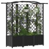 Magasított ágy trellis-szel és tetővel fekete 163 x 40 x 141 cm