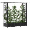 Magasított ágy trellis-szel és tetővel fekete 164 x 40 x 123 cm