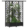 Magasított ágy trellis-szel és tetővel fekete 124 x 40 x 123 cm
