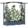 Magasított ágy trellis-szel és tetővel szürke 169 x 40 x 125 cm