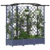 Magasított ágy trellis-szel és tetővel szürke 163 x 40 x 126 cm