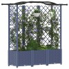 Magasított ágy trellis-szel és tetővel szürke 163 x 40 x 141 cm