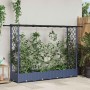 Magasított ágy trellis-szel és tetővel szürke 203 x 40 x 123 cm