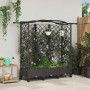 Magasított ágy trellis-szel és tetővel barna 163 x 40 x 129 cm