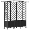 Magasított ágy trellis-szel és tetővel fekete 163 x 40 x 144 cm