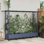 Magasított ágy trellis-szel és tetővel szürke 203 x 40 x 127 cm