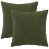 Párna huzat 2 pcs heerlen zöld 30 x 30 cm mikroszálas plüss