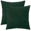Párna huzat 2 pcs heerlen sötétzöld 40 x 40 cm bársony