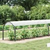 Növényfedező átlátszó 1 x 12 m pe