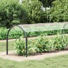 Növényfedező átlátszó 10 x 1,5 m pvc