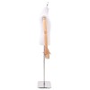 Állítható 160-232 cm-es manöken talppal férfi pp fehér