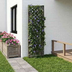 Trellis tüskével szürke 43 x 6 x 165 cm pp