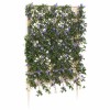 Trellis tüskével fehér 99 x 6 x 165 cm pp