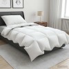 90% lúd toll paplan szett fulda 2 db 135 x 200 cm téli 300 gsm