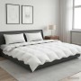 90% lúd toll paplan szett fulda 3 db 200 x 200 cm minden évszak