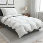 90% lúd toll paplan szett fulda 3 db 155 x 220 cm minden évszak