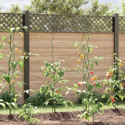 Spirális növénytámasz 5 db 170 cm acél