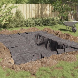 Tó nemez 300 g/㎡ 1x10 m