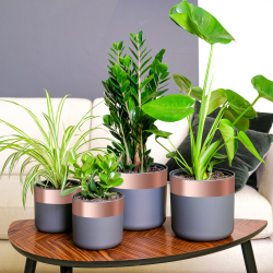 Réz szalag réz 2000 x 5 cm réz, akril irányító ragasztó