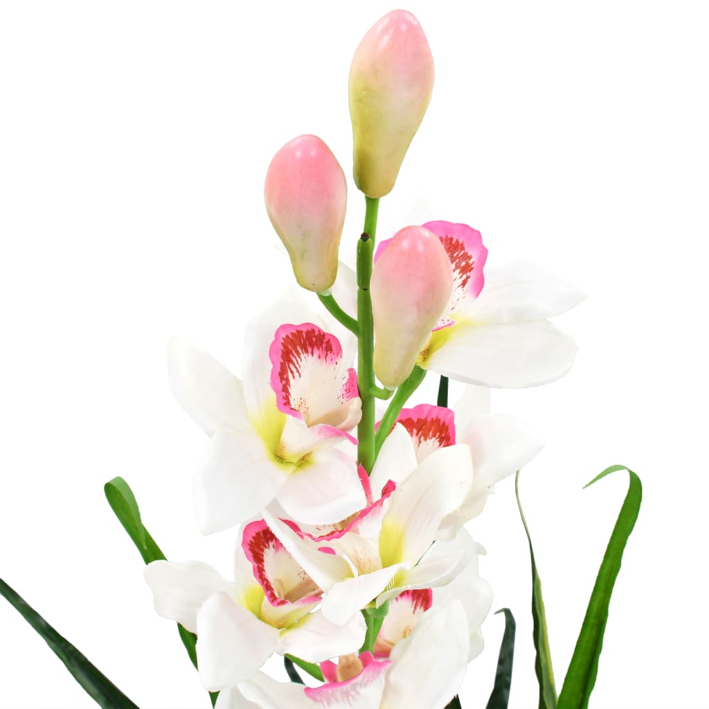 Zöld, cserepes műcsónakorchidea 100 cm
