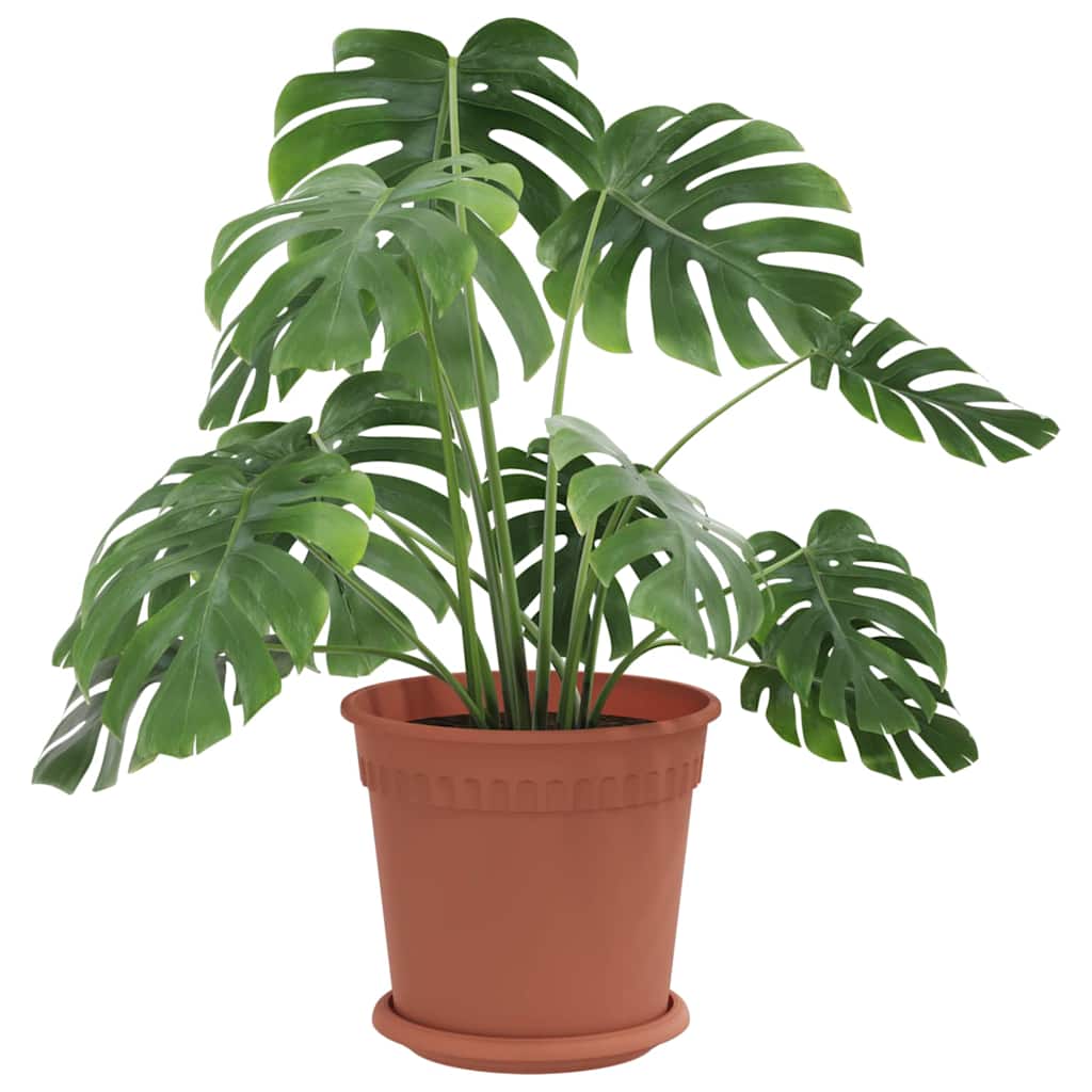 Növénycserép 24 pcs tégla vörös ø 19 x 16 cm műanyag