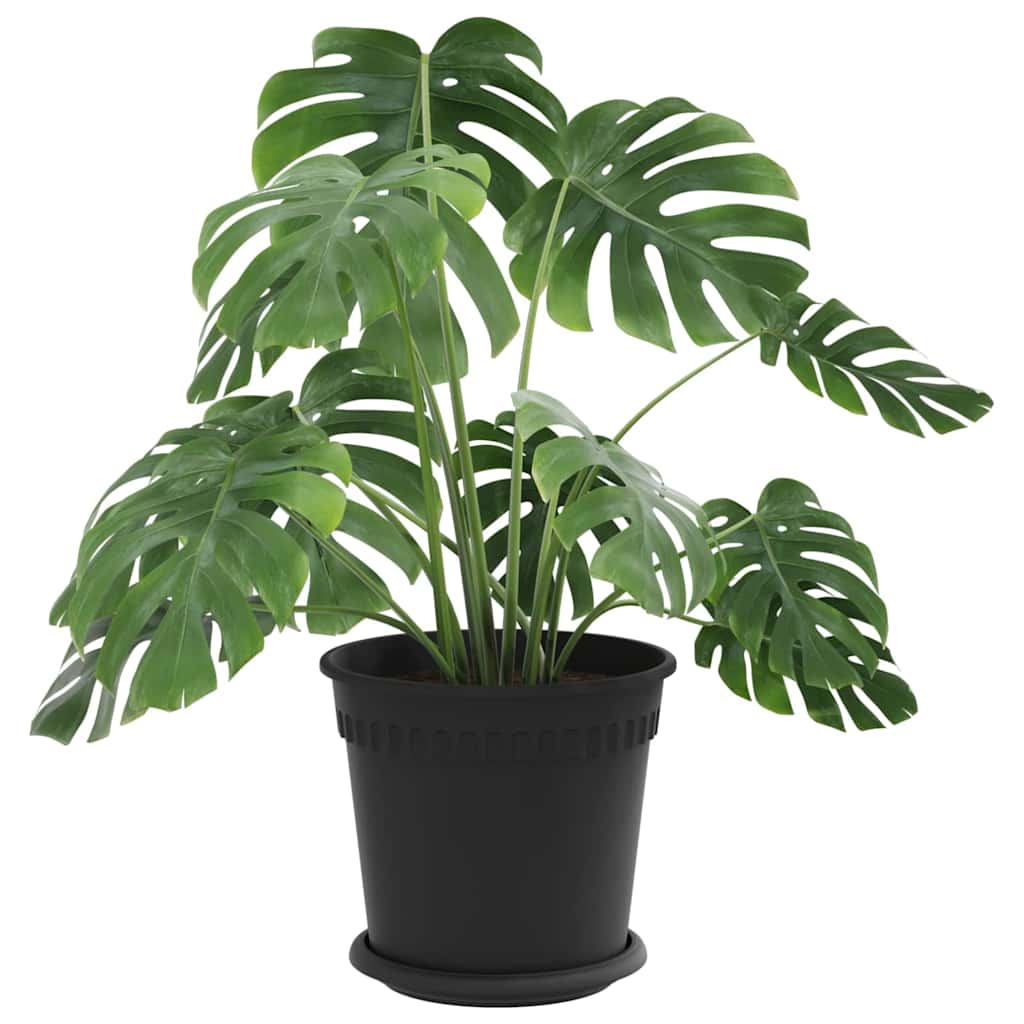 Növénycserép 24 pcs fekete ø 19 x 16 cm műanyag
