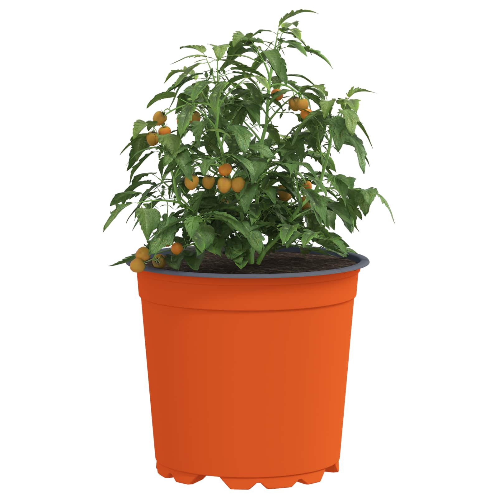 Virág cserép 50 pcs terrakotta ø 15 x 13 cm műanyag