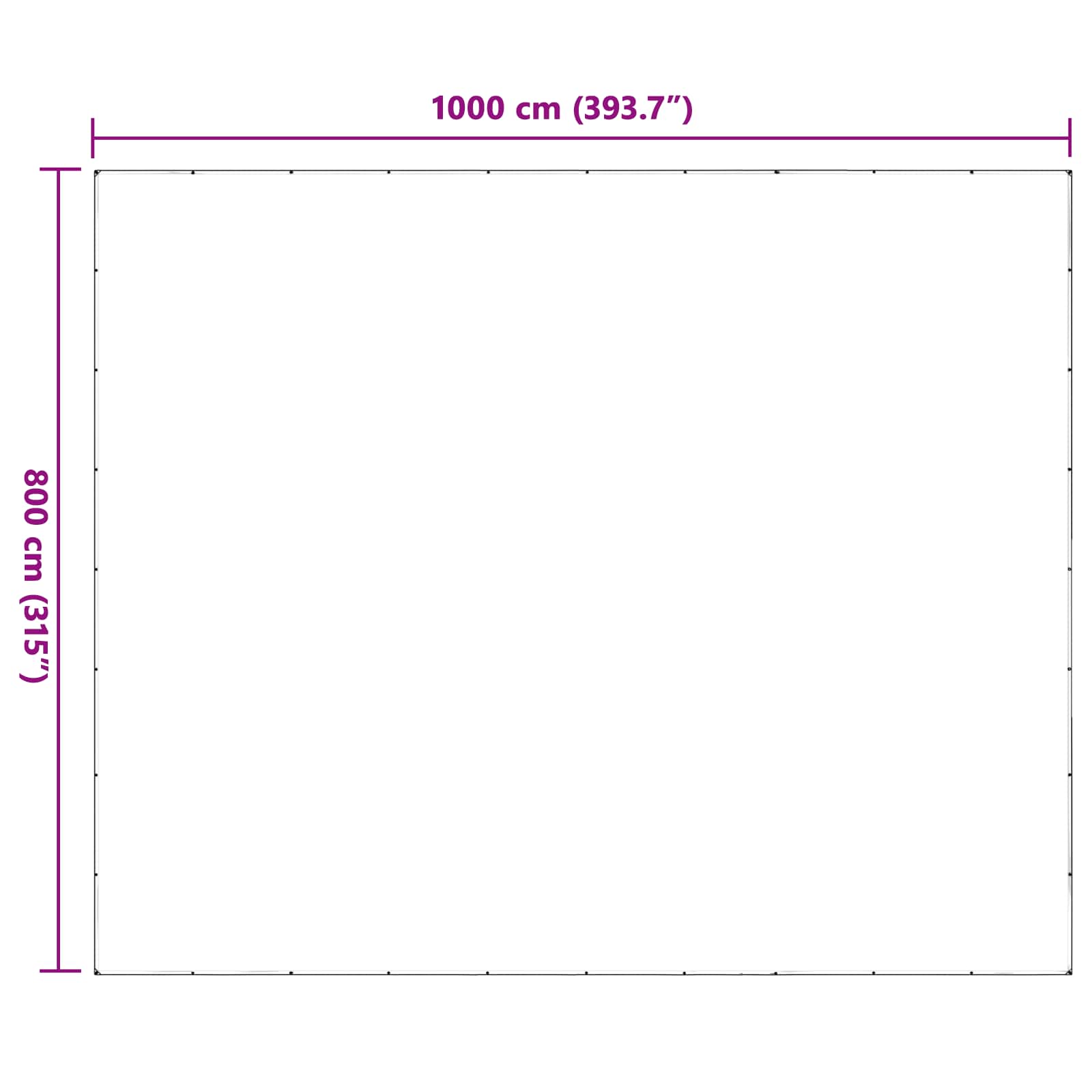 Ponyva fémfülekkel átlátszó 8 x 10 m polietilén